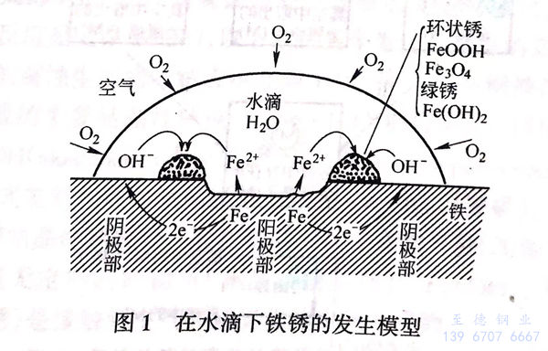 圖 1.jpg